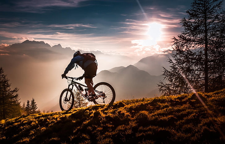 Biciclete